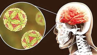 دراسة تكشف خطورة حرمان الدماغ من الطاقة خلال ممارسة الرياضة 