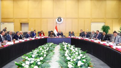 قرار بـ عدم السماح للمستثمر ببيع منتجاته في السوق إلا بعد تصديق مجلس الوزراء