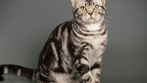 أمراض قد تنقلها لك