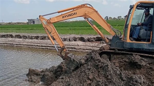  حملة لإزالة 10 مزارع