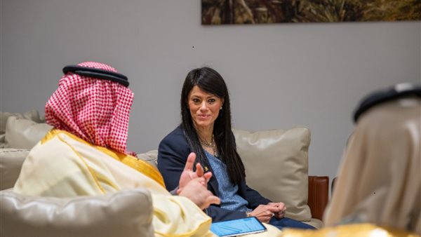 وزيرة التخطيط