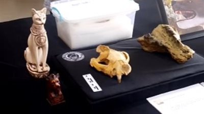 عمرها 30 مليون سنة.. فريق بحثي في جامعة المنصورة يكتشف حفرية لكائن مفترس| بث مباشر