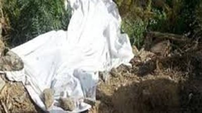 شاب ينهي حياته لمروره بأزمة نفسية في الأقصر