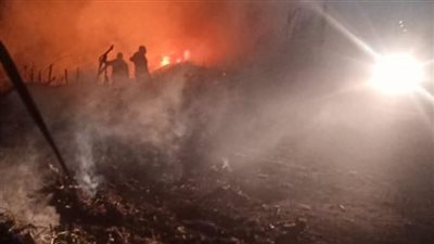 السيطرة على حريق في محاصيل زراعية بكفر شكر دون خسائر بشرية