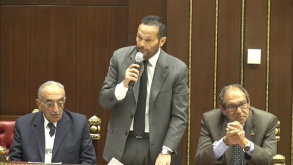 النائب محمد حلاوة