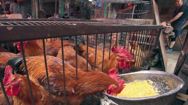  صورة تعبيرية 