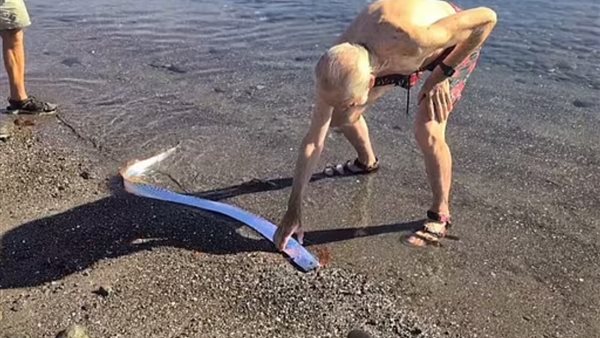 سمكة يوم القيامة