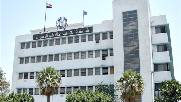 شركة الحديد والصلب