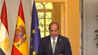 مصر وإسبانيا تتفقان على تكثيف التعاون لوقف الهجمات ضد السفن التجارية في باب المندب