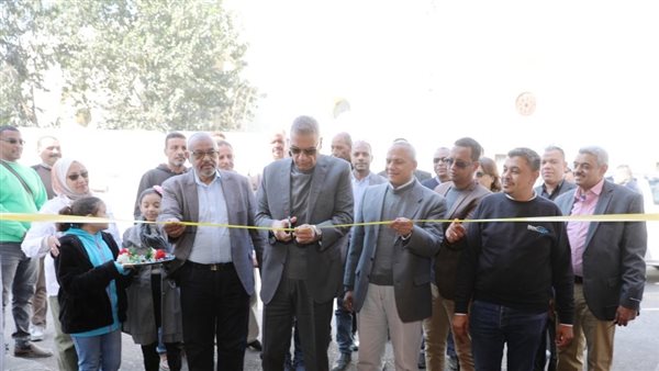 محافظ أسوان