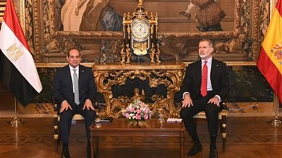 مصر وإسبانيا تشددان على ضرورة ألا تمثل سوريا يجب ملاذًا آمنًا للجماعات الإرهابية