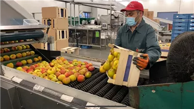 وزير الزراعة: نستهدف الوصول إلى 20 مليار دولار صادرات زراعية خلال 4 سنوات