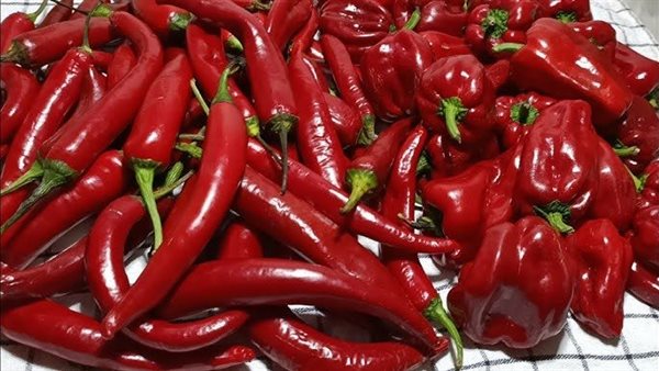 الفلفل الأحمر 