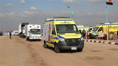 محافظ الجيزة يشهد التدريب العملي المشترك لمجابهة الأزمات والكوارث صقر 135