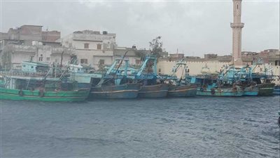 لسوء الأحوال الجوية.. توقف حركة الصيد والملاحة بميناء البرلس وسواحل كفر الشيخ | بث مباشر