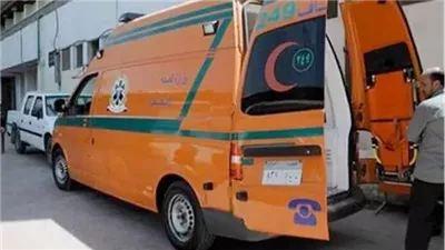 بينهم رئيس وحدة قروية.. إصابة 5 أشخاص إثر مشاجرة في المنوفية