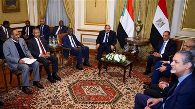 بيان مصري سوداني: ضرورة التوصل لاتفاق شامل وملزم حول سد النهضة 