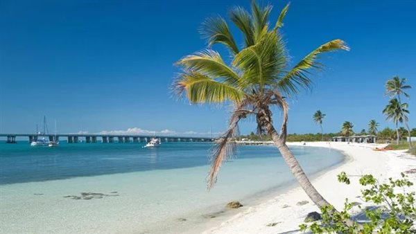 شواطئ أمريكا - أرشيفية