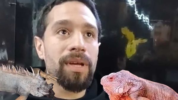 صاحب حيوان الإيجوانا