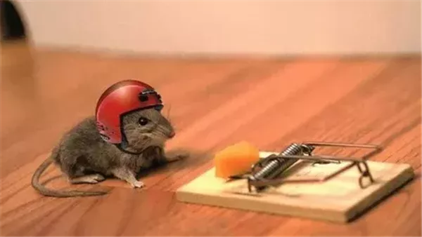  تفسير رؤية الفار