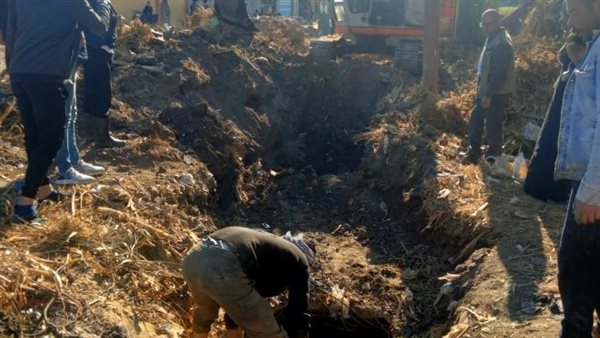 إجراءات عاجلة لإنهاء