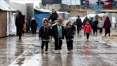 التحالف الديمقراطي الاجتماعي يدين جرائم الاحتلال الإسرائيلي ضد الفلسطينيين ويثمن الموقف الرافض للتهجير