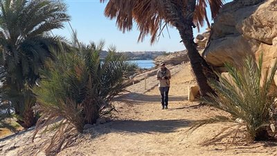 وفد ألماني ينتهي من تصوير فيلم وثائقي حول فن المحاجر في مصر القديمة بأسوان