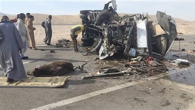 إصابة سائق ونفوق عدد من المواشي إثر انقلاب سيارة بصحراوي قنا |بث مباشر