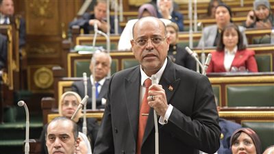 وزير العمل أمام النواب: حريصون على إخراج قانون عمل يُراعي المعايير الدولية ويُحقق الأمان الوظيفي للعامل