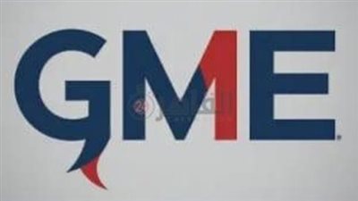 تأجيل محاكمة المتهمين في منصة GME بتهمة النصب على المواطنين لجلسة 14 أكتوبر