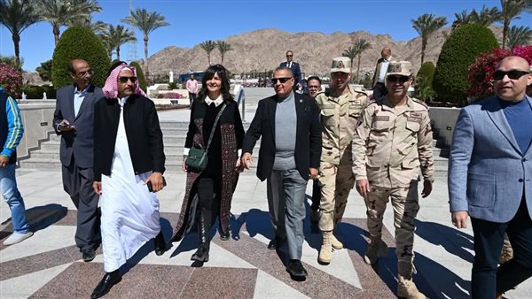 محافظ جنوب سيناء