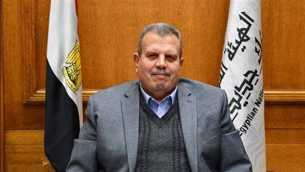 المهندس محمد عامر