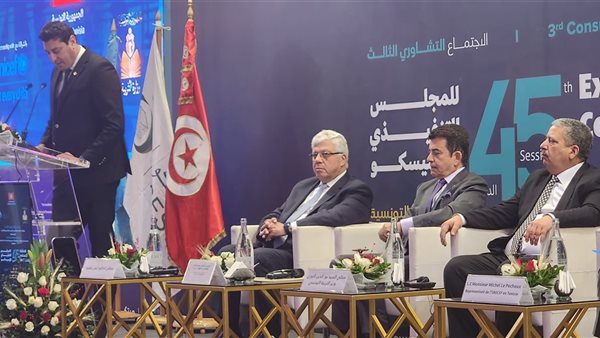 وزير التعليم العالي