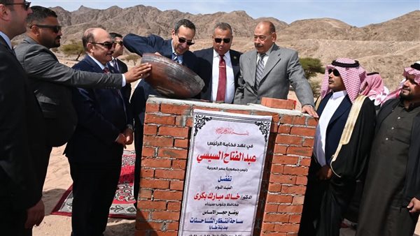 محافظ جنوب سيناء