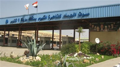 تعيين داليا محمد أحمد نائبا لرئيس جهاز سوق الجملة بمحافظة الجيزة| مستند