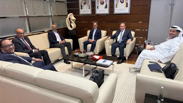 وزير الاستثمار