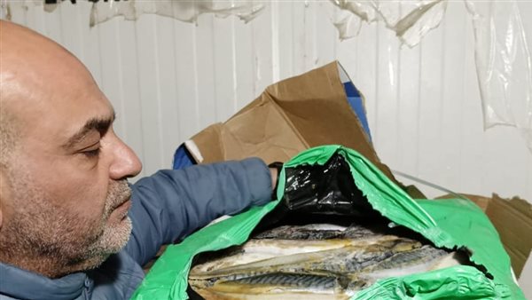 حملة الطب البيطري