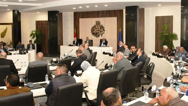 محافظ أسوان