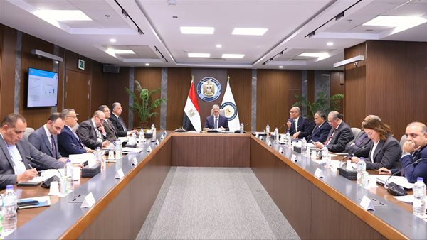 المهندس كريم بدوي