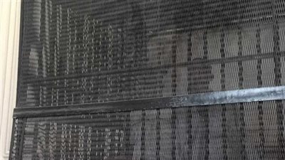 لمرافعة النيابة.. تأجيل محاكمة 9 متهمين بخلية ولاية داعش الدلتا لـ 24 يونيو 