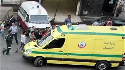 إصابة 15 عاملًا في انقلاب سيارة ربع نقل داخل ترعة بالدقهلية 