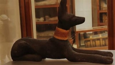 المتحف المصري بالتحرير يعرض تمثالا نادرا لـ المعبود أنوبيس | صور 
