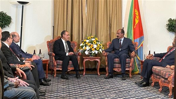 بدر عبد العاطى وزير