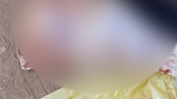  العثور على عظمة