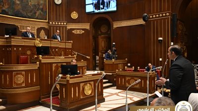 الشيوخ يناقش سياسة الحكومة بشأن إعادة تشغيل المصانع المتعثرة