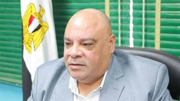 المهندس سيد عبدالعزيز