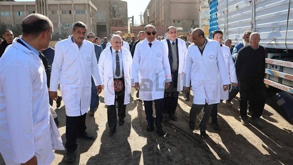 محافظ المنيا