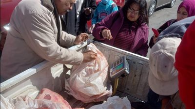 رئيس حي النزهة: فحص 4 أطنان لحوم ودواجن.. وإعدام 150 كيلو كبدة فاسدة| صور
