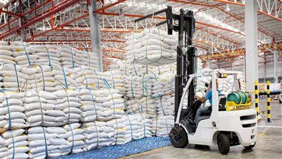 الغرف التجارية: مصر على وشك الاكتفاء الذاتي من السكر بحلول 2026