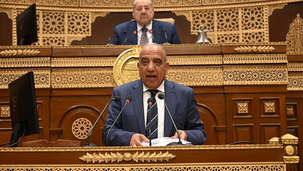 وزير الكهرباء للشيوخ